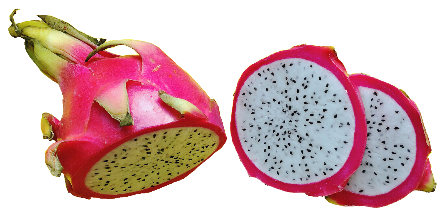 dragon-fruit-plant-bhumpreet-bio-plantic